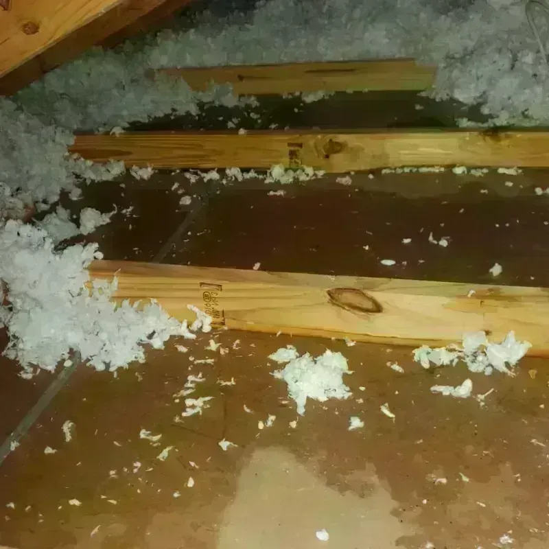 Attic Water Damage in Riverside, CT